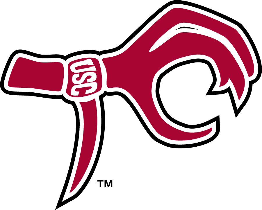 South Carolina Gamecocks 2006-2008 Misc Logo t shirts iron on transfers